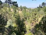 1455 Canyon Trail Road - Photo 36