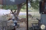 1455 Canyon Trail Road - Photo 37