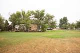 225 Fallon Avenue - Photo 43
