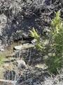 00 Moser Dome Rd. - Photo 11