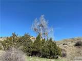 00 Moser Dome Rd. - Photo 7