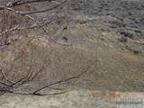 215 1st Street - Photo 4