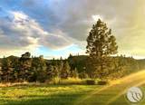 4507 Box Canyon Road - Photo 6