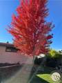 87 Mountain View Boulevard - Photo 36
