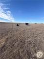 TBD Basin Acres - Photo 7