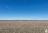 9779 Winter Wheat Way - Photo 9