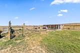 1605 Timber Wolf Trail - Photo 37