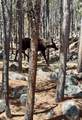 27 Snow Creek Road - Photo 24