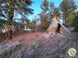 50 Sunshine Trail - Photo 28