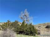 NSN Moser Dome Rd. - Photo 9