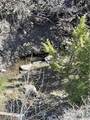 NSN Moser Dome Rd. - Photo 13