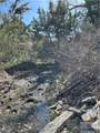 NSN Moser Dome Rd. - Photo 16