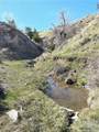 NSN Moser Dome Rd. - Photo 17