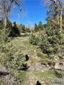 NSN Moser Dome Rd. - Photo 18