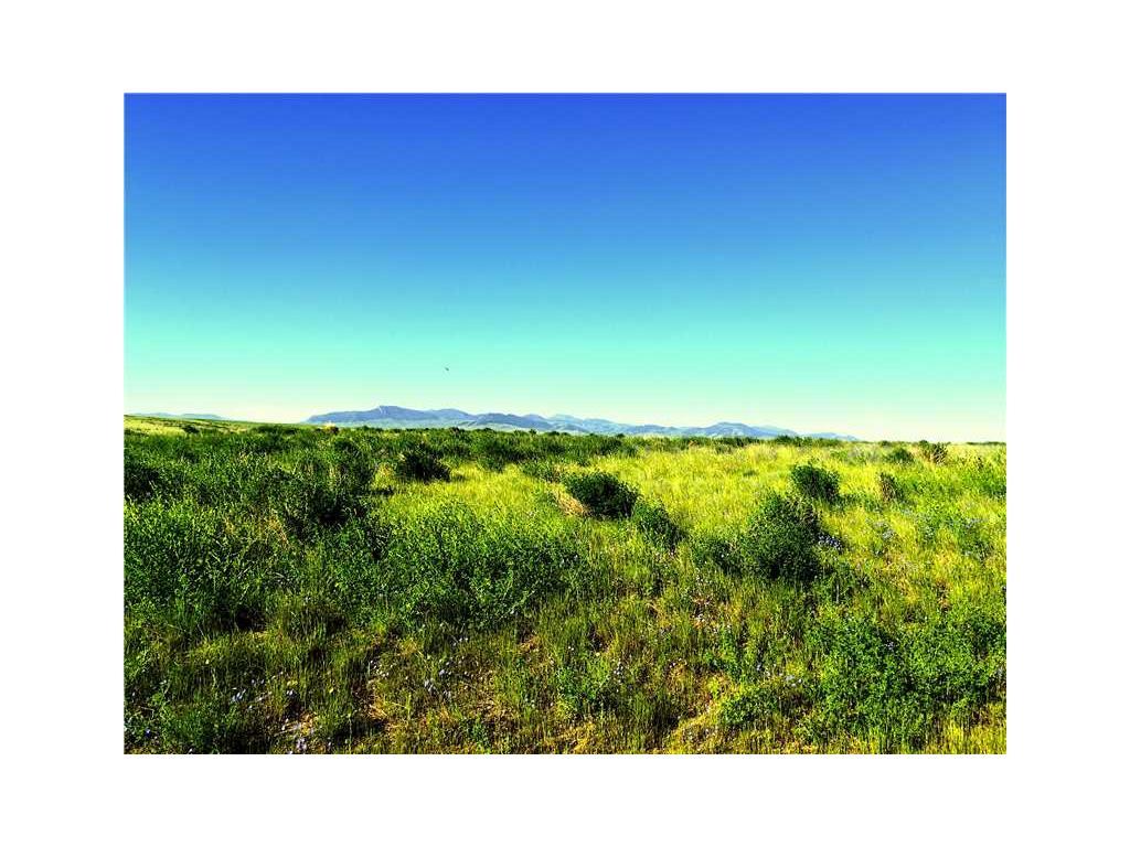 NHN Rural Road, Geraldine - Photo 1