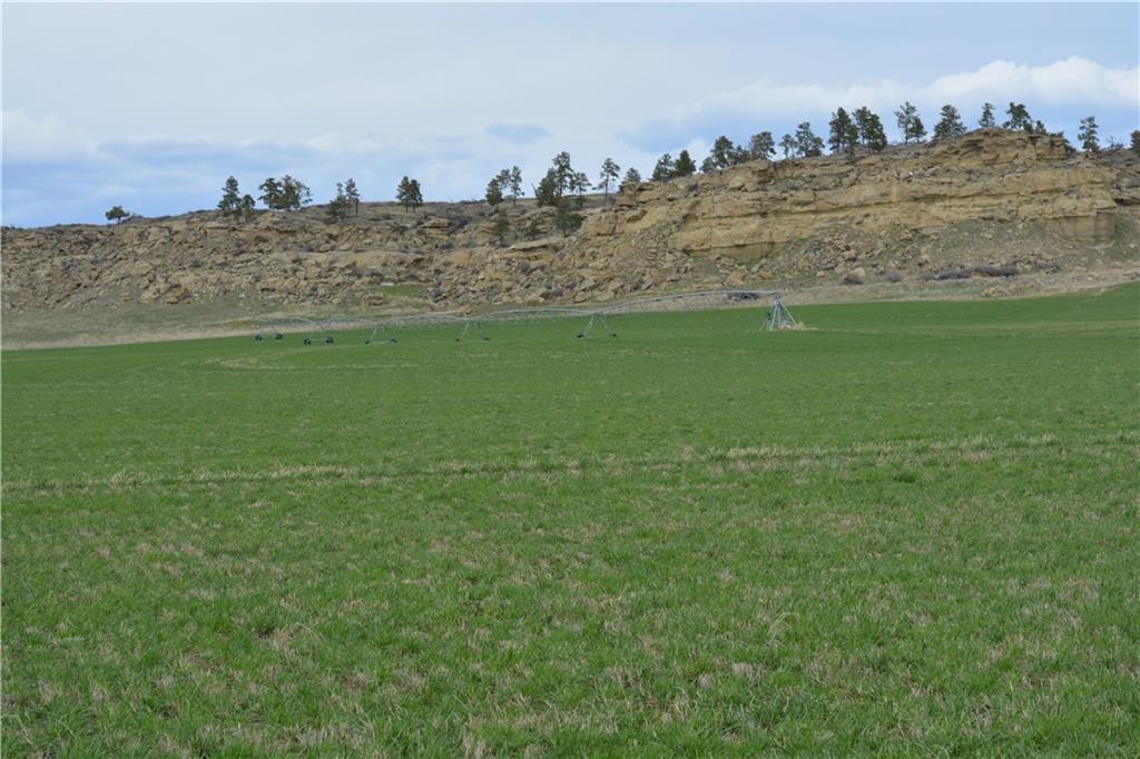 000 Scandia Road - Photo 1