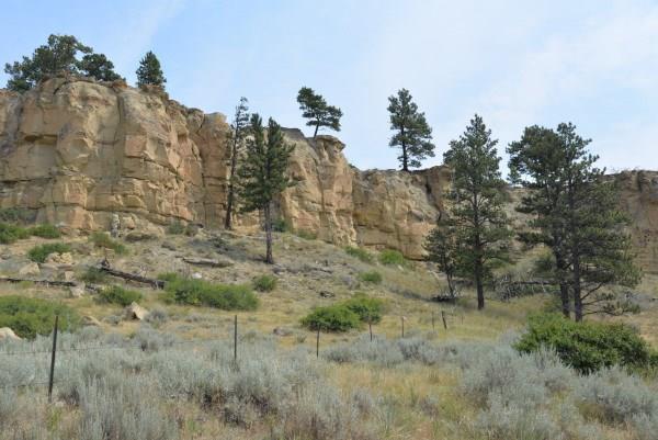 20 Acres Squaw Creek - Photo 1