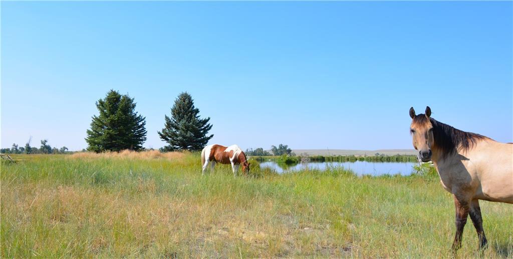 8337 Us Hwy 212 - Photo 1