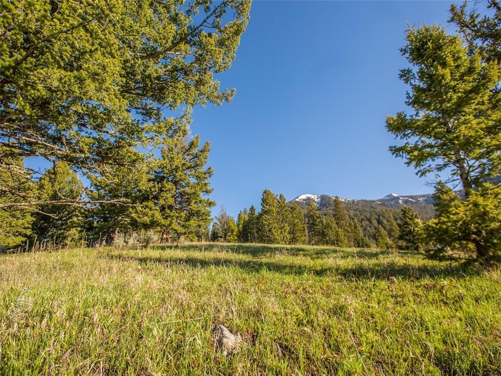 Lot 1A-1 Upper Chief Joseph Trail - Photo 1