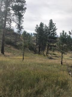 00 Eagle Ridge Rd - Photo 1