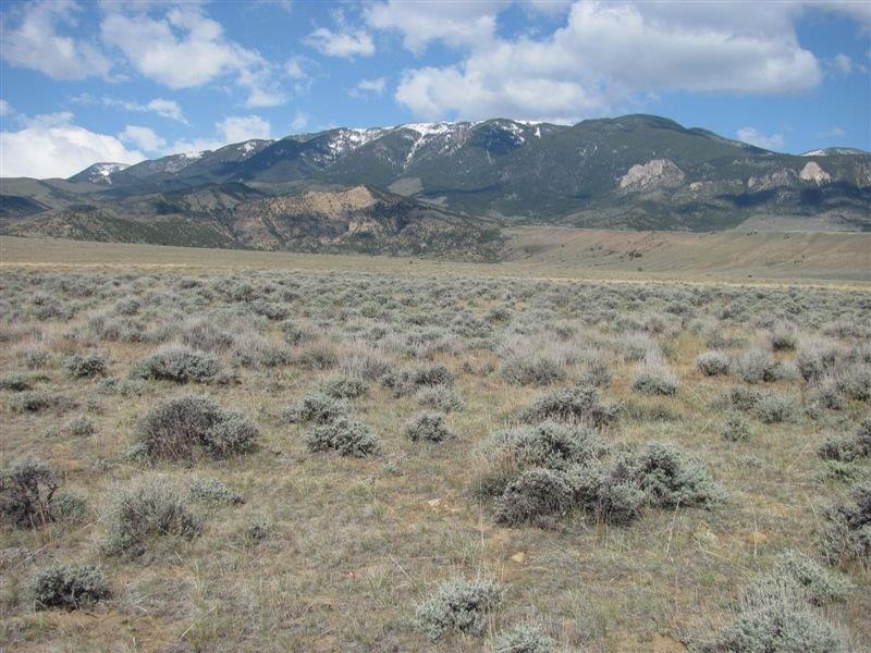 6 Ruby Sring Ranch - Photo 1