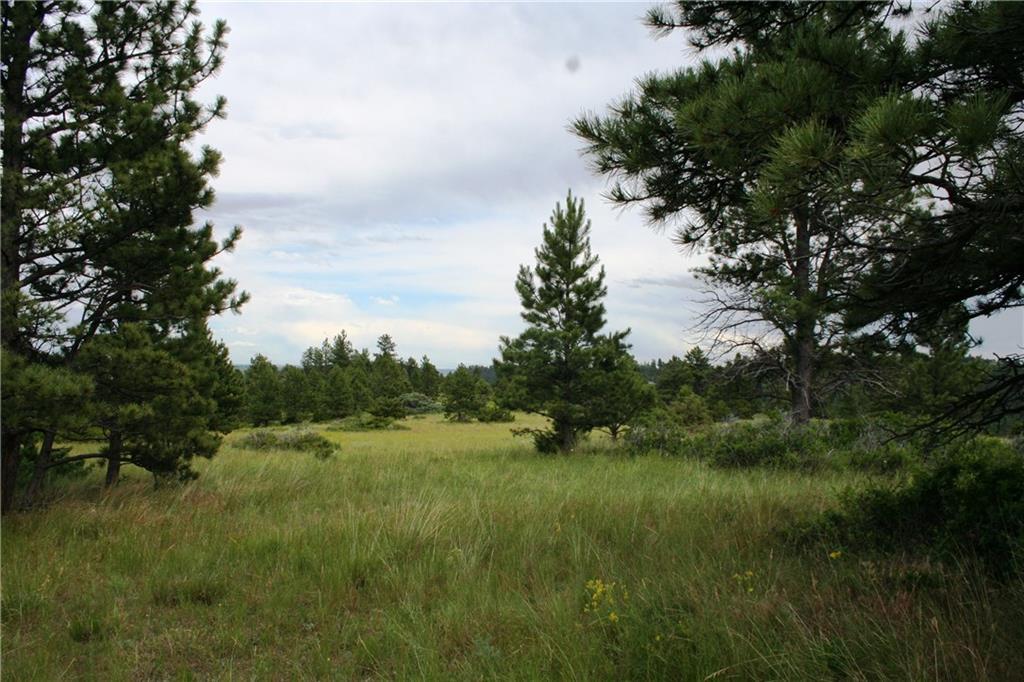 Lot 57 Medicine Crow - Photo 1