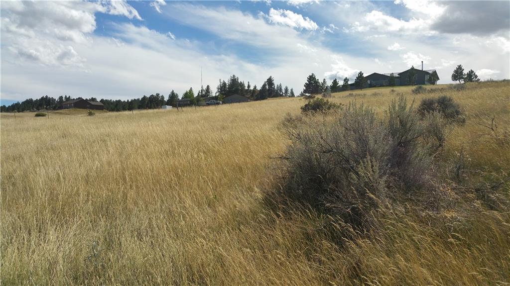 TBD9 Old Hardin Road - Photo 1