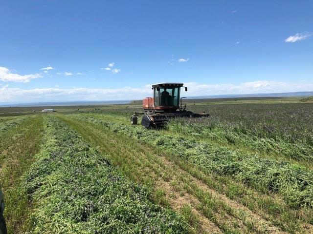 299 Acres Spring Creek Road - Photo 1