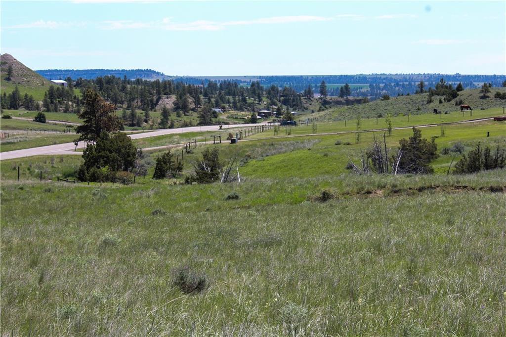TBD Buffalo Trail Rd - Photo 1