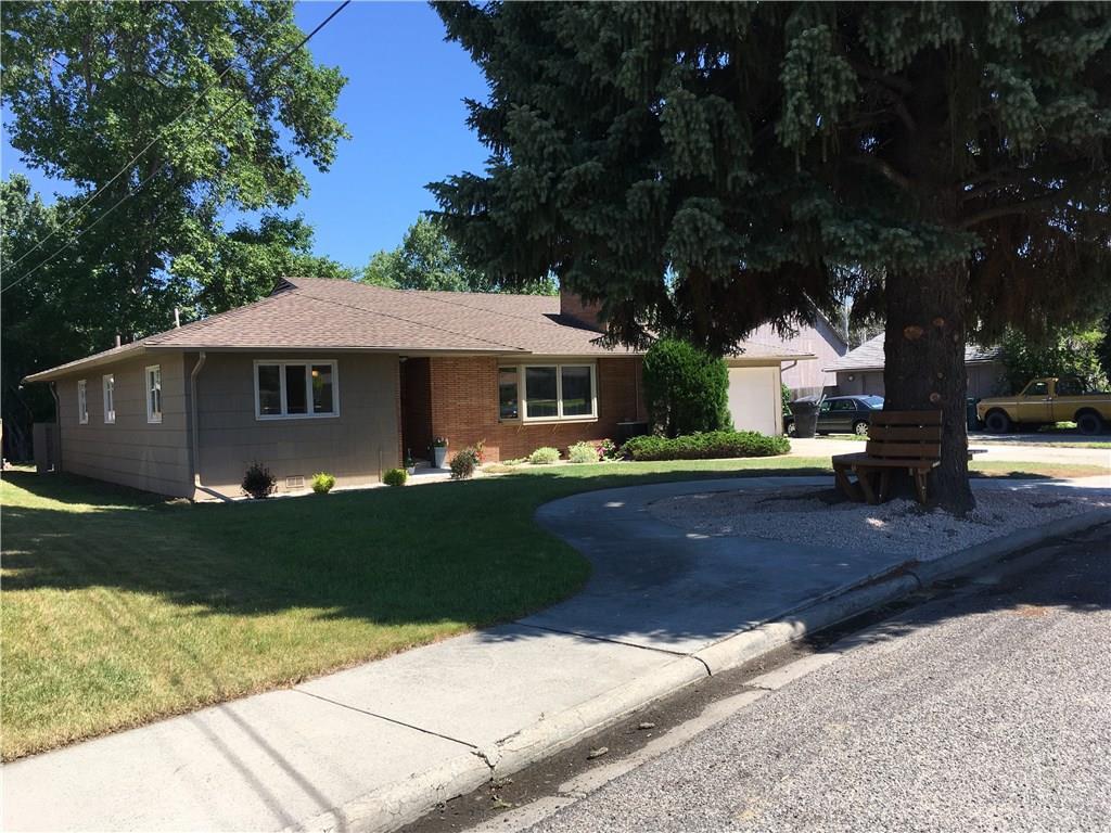809 Delphinium - Photo 1