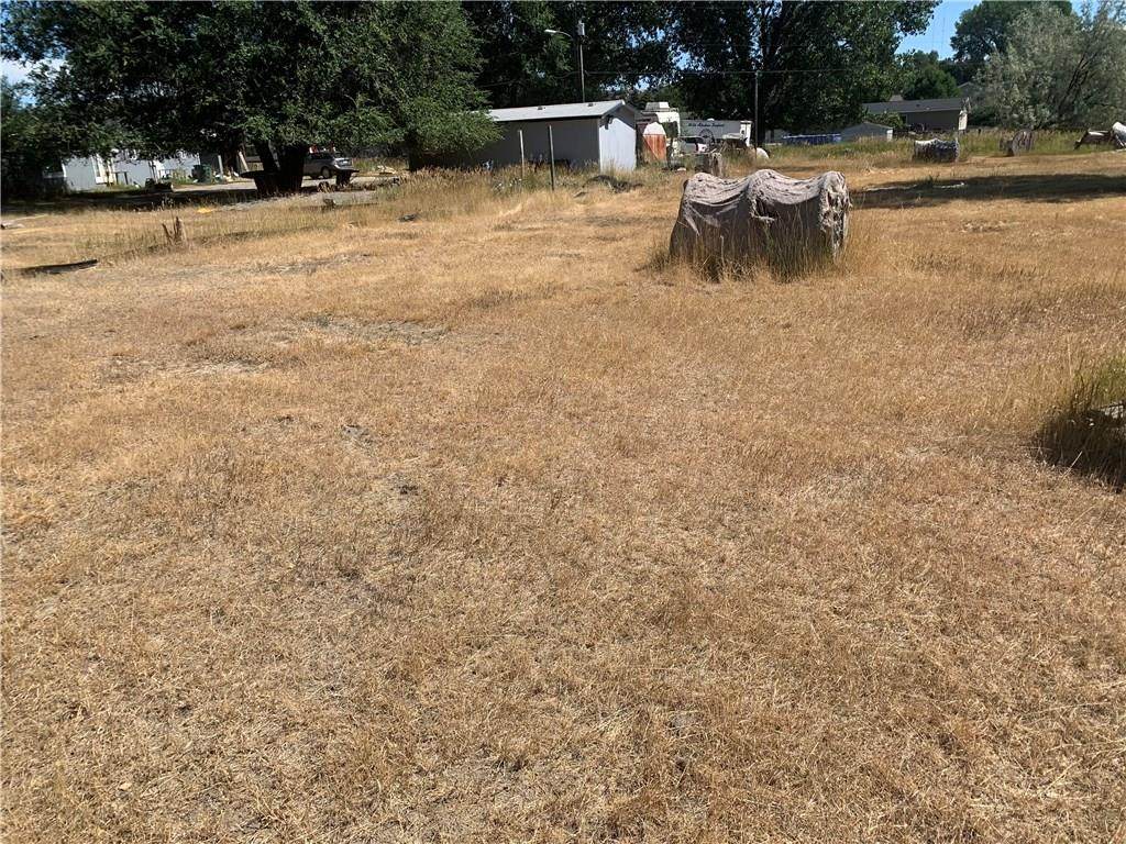 TBD (Lot 12) Wild Rose Avenue - Photo 1