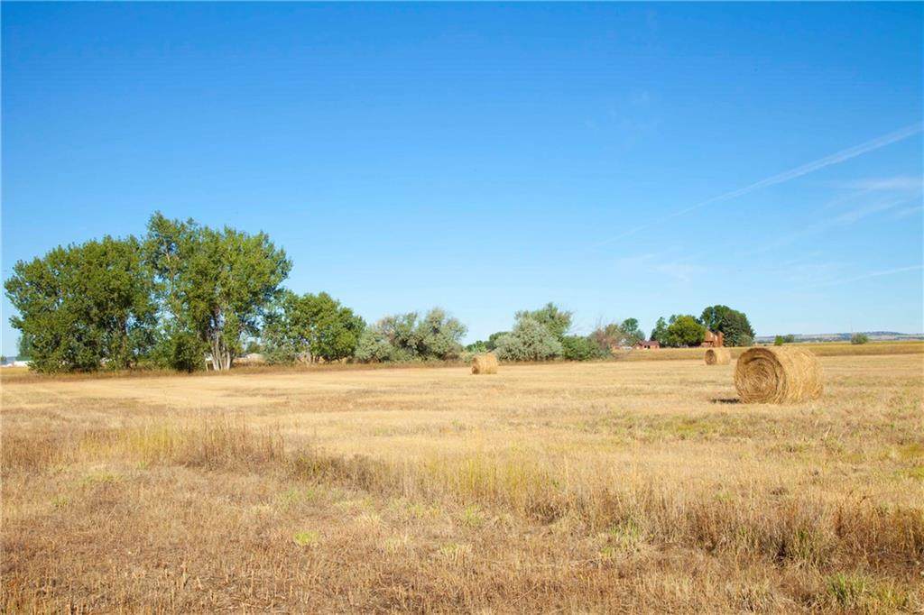 8700 Fox Run - Photo 1