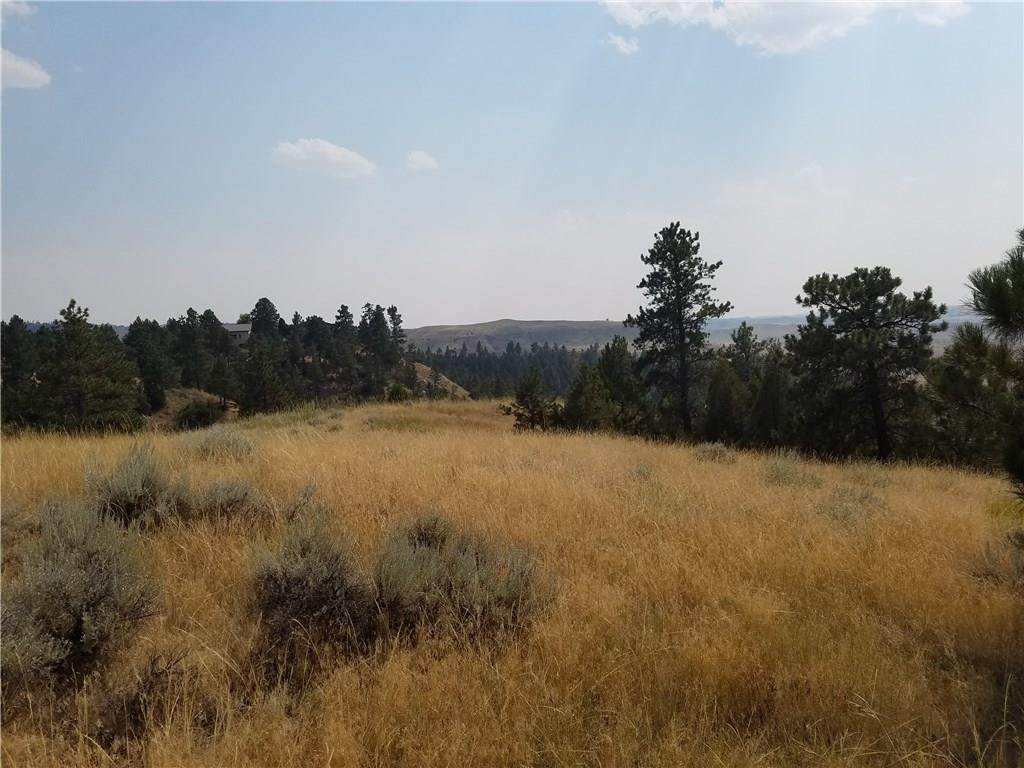 0 Summit Ridge Road - Photo 1