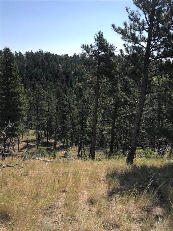 224 Dry Hole Trail - Photo 1