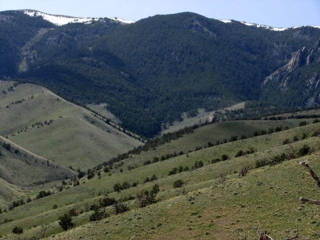 55 Freedom Tr - Photo 1