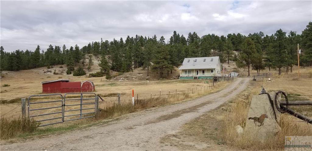 64 Roland Road - Photo 1