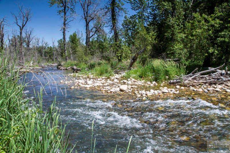 LOT 3 Wallis Tracts & Hwy 212 - Photo 1