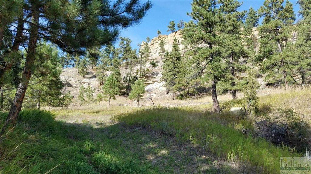 4741 Box Canyon Road - Photo 1