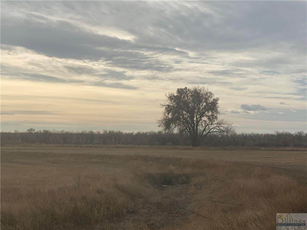 NHN 87 Acres On Hwy 204, Dodson - Photo 1