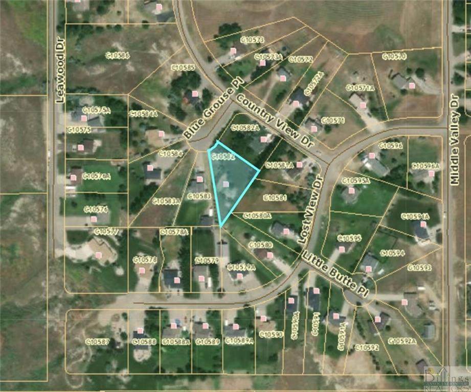 TBD Blue Grouse Place - Photo 1