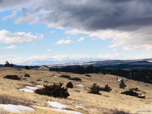 5 Palomino Trail - Photo 1