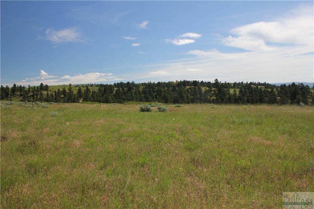 NSN Monahan Road - Photo 1