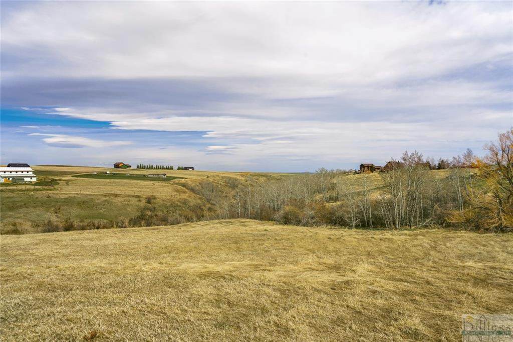 Lot 22 W Palisade Basin Drive - Photo 1