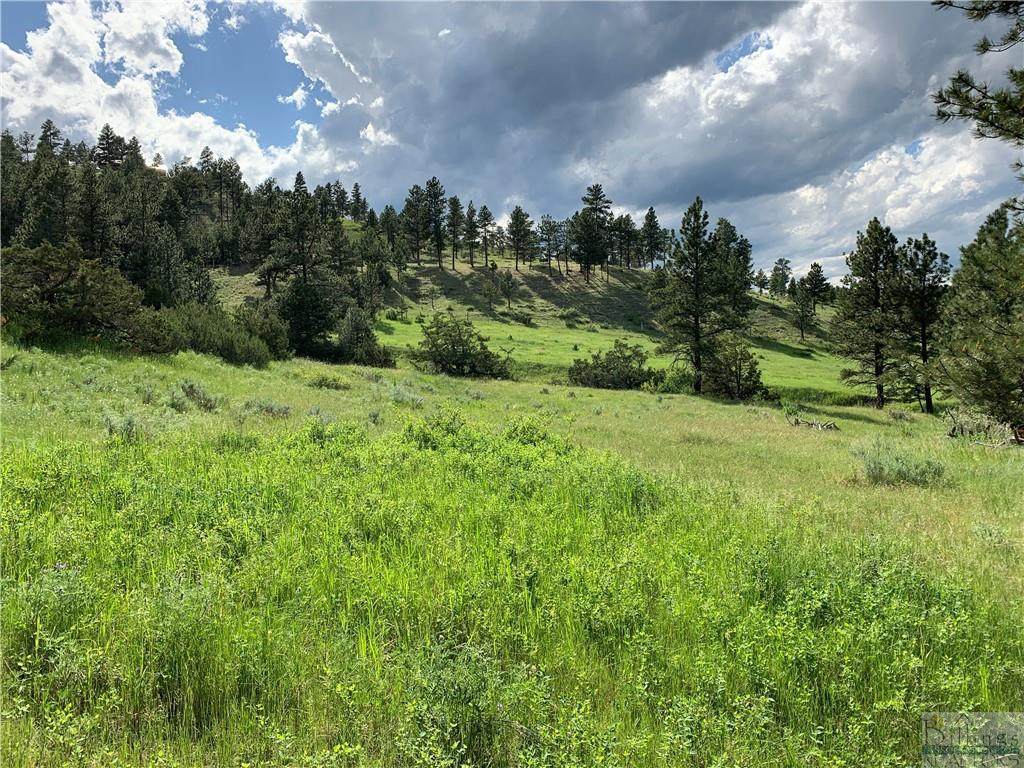 Lot 32 Old Bull Dr - Photo 1