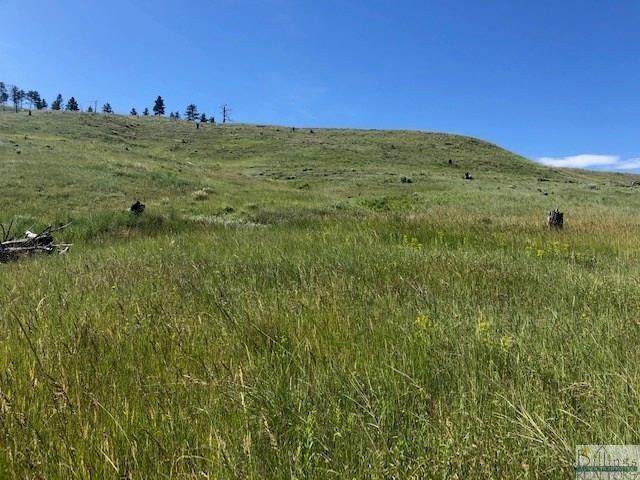 lot 21 North Fork Eagle Mountain Road - Photo 1