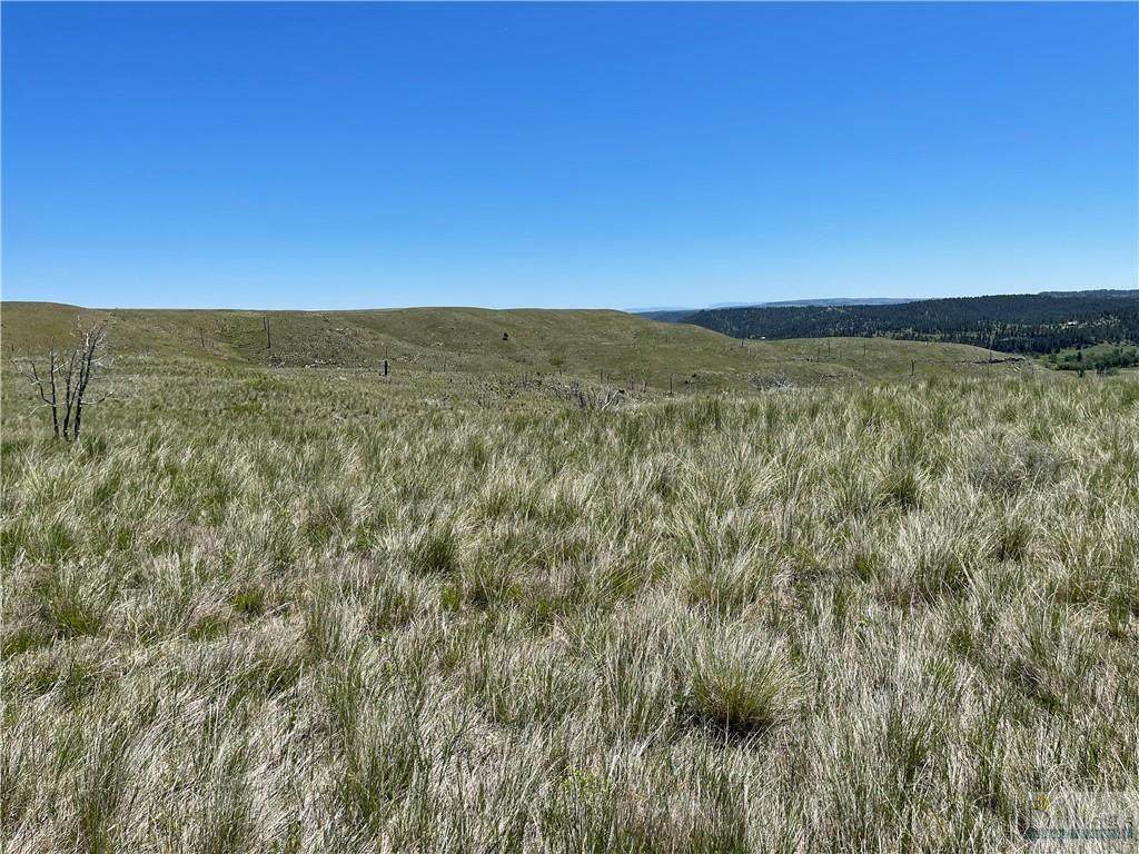 54 Arrowhead Ridge Road - Photo 1