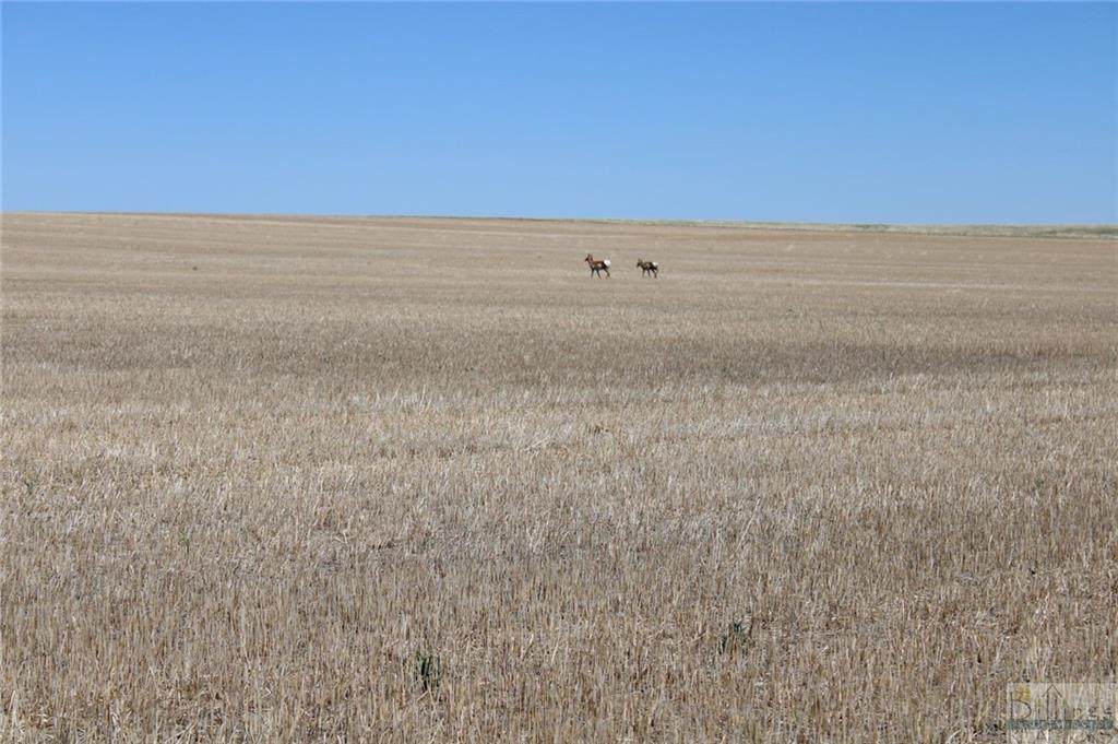 TBD Antelop Rd - Photo 1