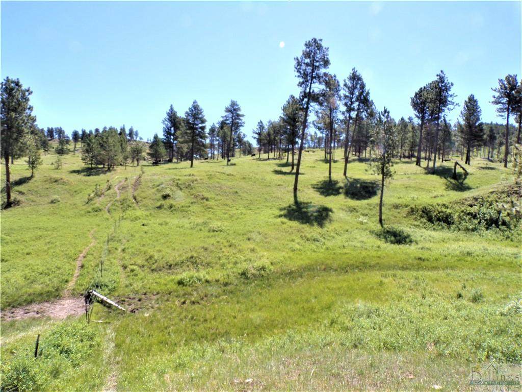 TBD Teepee Coulee - Photo 1