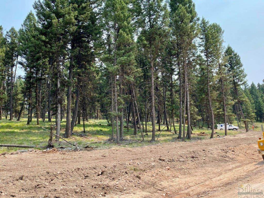 349 Seclusion Point, Seeley Lake - Photo 1