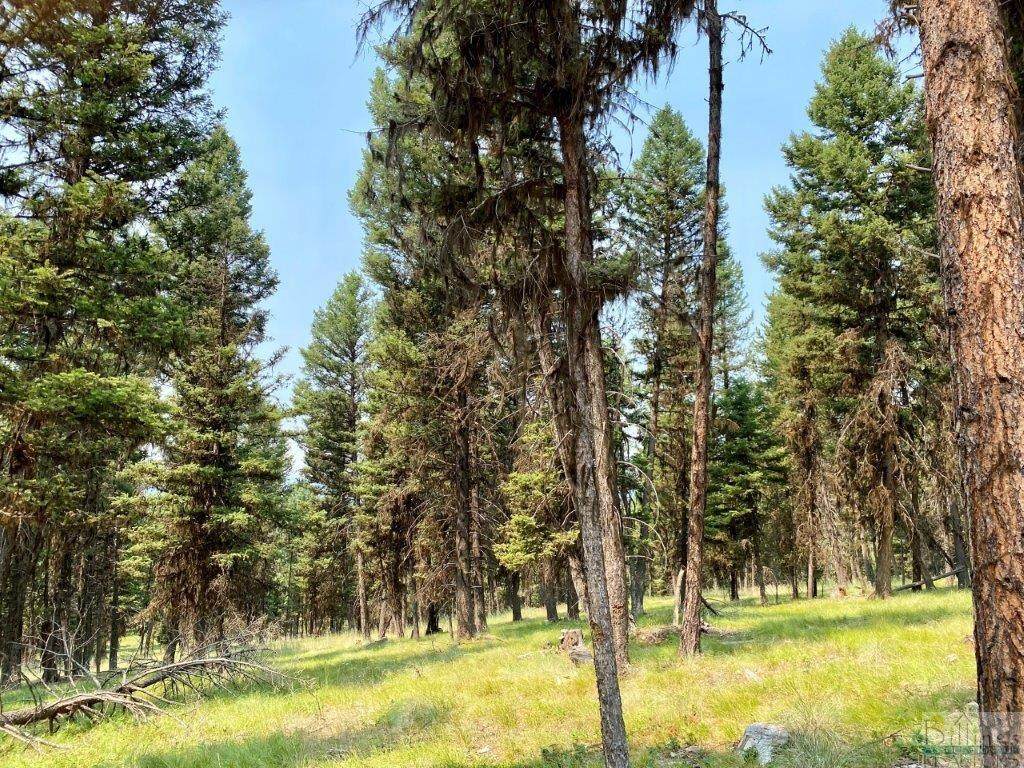 372 Seclusion Point, Seeley Lake - Photo 1
